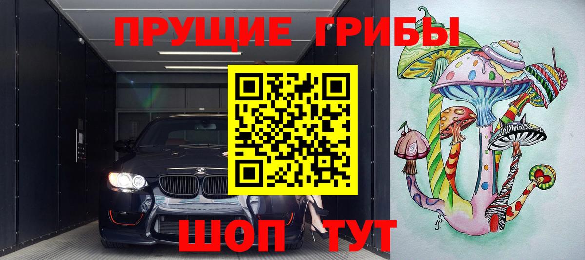 Псилоцибиновые грибы Cubensis Казань