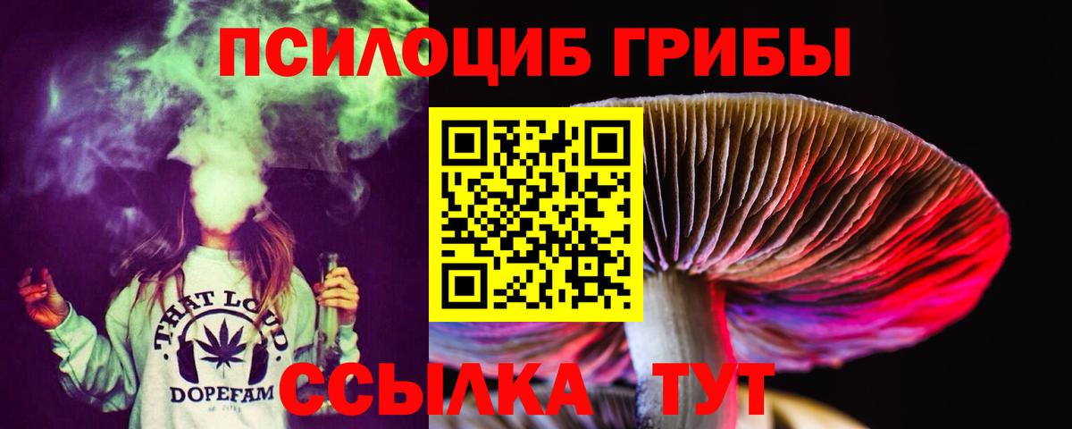 Псилоцибиновые грибы прущие грибы  Галлюциногенные грибы мухоморы  Казань  Вход с VPN 